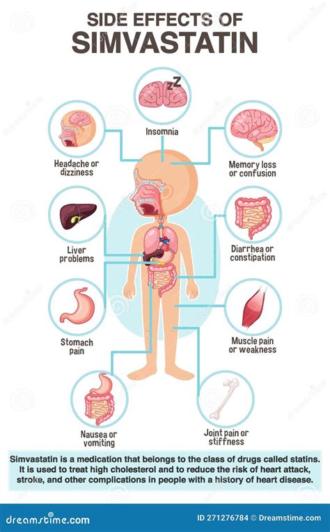 Zeichentrickcharakter Des Menschlichen Anatomie Diagramms Art Der