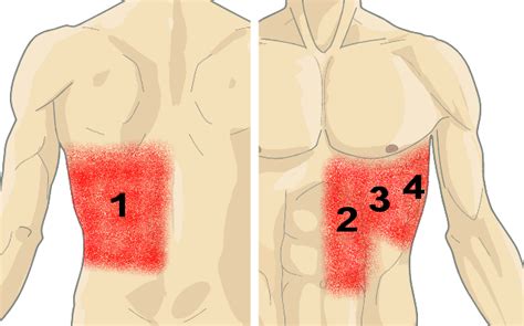 Organs In Lower Back Left Side / Causes of Lower Left Side Abdominal ...