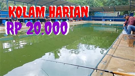 Mancing Harian Lele Tiket Rb Youtube