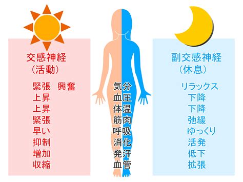 自律神経失調症｜大垣市から多数来院、自律神経の針灸院