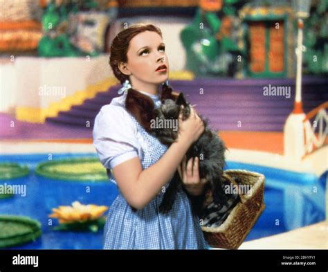 The Wizard Of Oz Year 1939 USA Director Victor Fleming Judy Garland