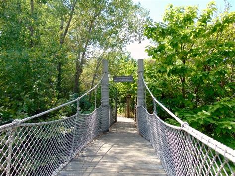 Gorilla Trail Bridge Sedgwick County Zoo Wichita Ks The Zoo Review