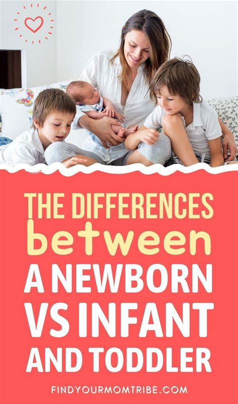 The differences between a newborn vs infant and toddler – Artofit