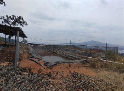 Asegura Fge Predio Por Plantaci N Inducida De Aguacate Y Tocones