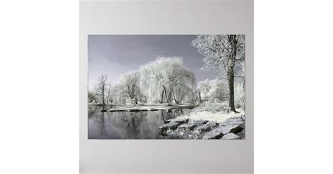 Winter Wonderland Poster | Zazzle