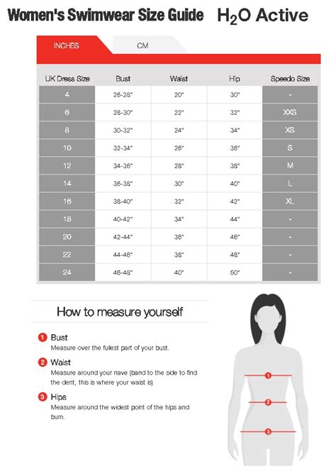 Speedo Size Guide