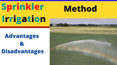 Advantages And Disadvantages Of Sprinkler Irrigation Method