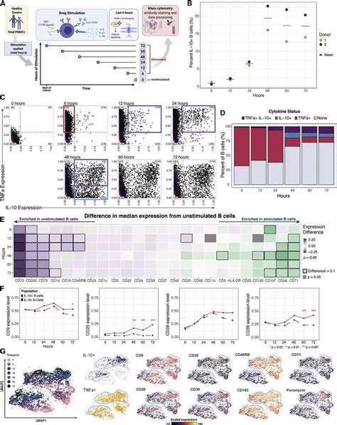 Overlapping Expression Of Pro Inflammatory Cytokines Precedes Il 10 In