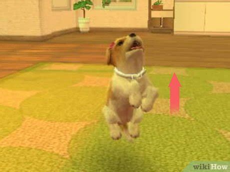 How to Teach Your Nintendogs Tricks (with Pictures) - wikiHow