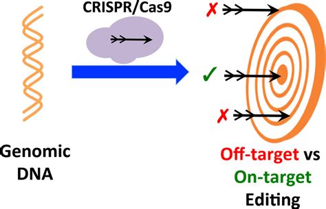 Targeting Specificity Of The CRISPR Cas9 System ACS Synthetic Biology