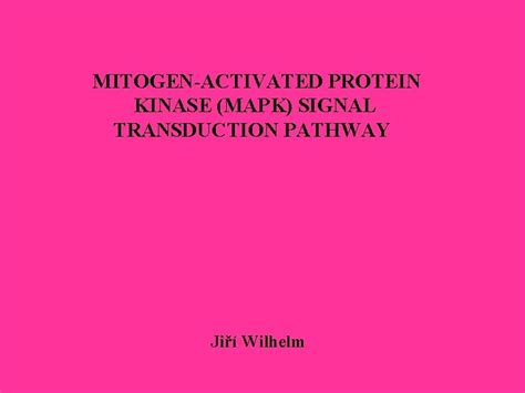 MITOGENACTIVATED PROTEIN KINASE MAPK SIGNAL TRANSDUCTION PATHWAY Ji 