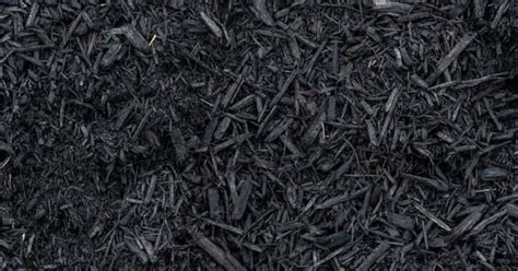 Should You Use Gorilla Hair Mulch? (Pros, Cons & Tips) | Mulch Universe