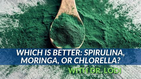 Which Is Better Spirulina Moringa Or Chlorella Dr Lodi YouTube