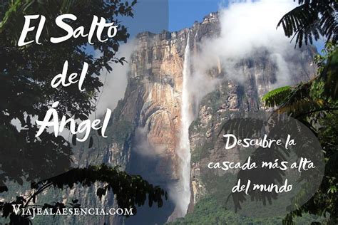 El Salto Del Ángel Descubre La Cascada Más Alta Del Mundo Viaje A La