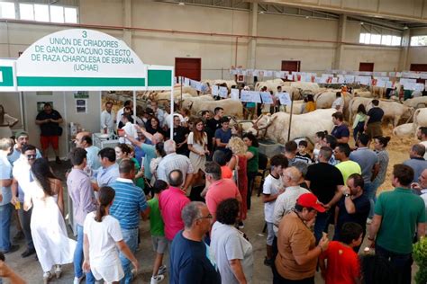 La tercera jornada de Salamaq en imágenes La Gaceta de Salamanca