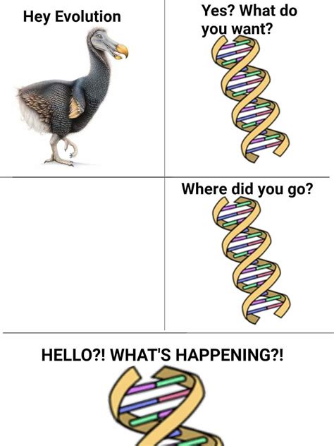 Hello Evolution Can You Give Me Wings Know Your Meme