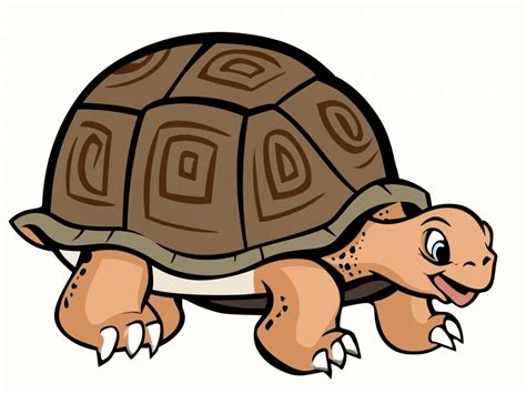 Tortoise Clipart Free Images Clipartlib