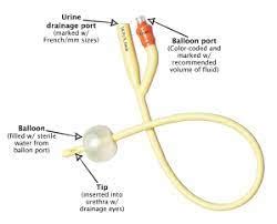 Indwelling Catheters Driven by Complexities of Urinary Disorders ...