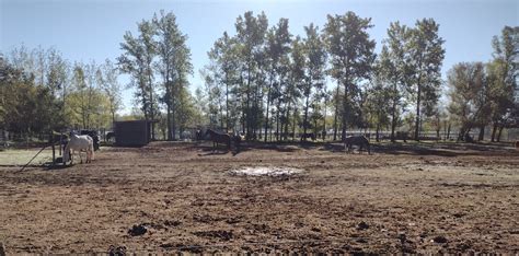 Cœur d Ass Mat Balade au Dicosa et observation des oiseaux de la réserve naturelle