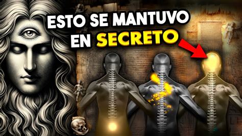 Secreto Sagrado Le Sucede A La Gl Ndula Pineal Cada D As Y Medio