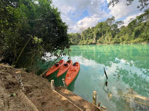 Resiliencia Y Mentalidad De Aprendizaje En La Selva Lacandona La Mano