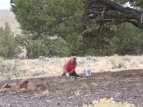 Peg At Fire Obsidian Site Glass Buttes Oregon Dinodgr Flickr