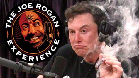 18 Fascinating Joe Rogan Experience Guests