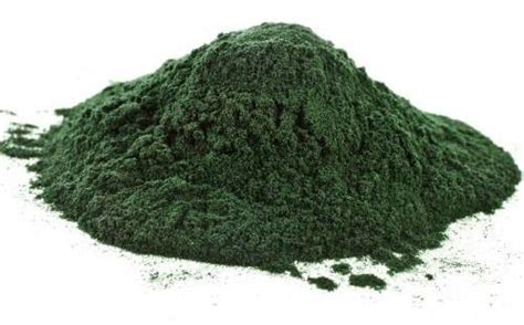 The Benefits of Nutrient Rich Spirulina - Harcourt HealthHarcourt Health