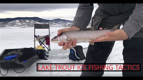 Lake Trout Ice Fishing Tactics YouTube