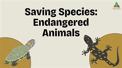 Saving Species: Endangered Animals - Teatown