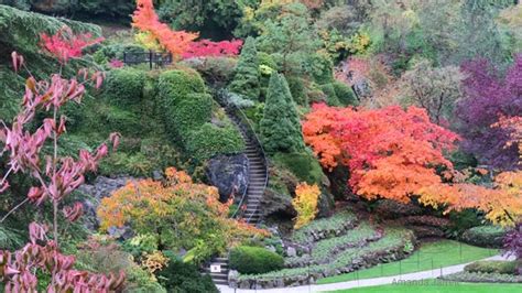 Butchart Gardens Hours In October Fasci Garden