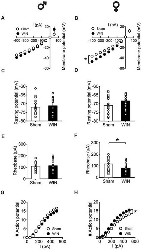 Frontiers Sex Differences In The Behavioral And Synaptic Consequences