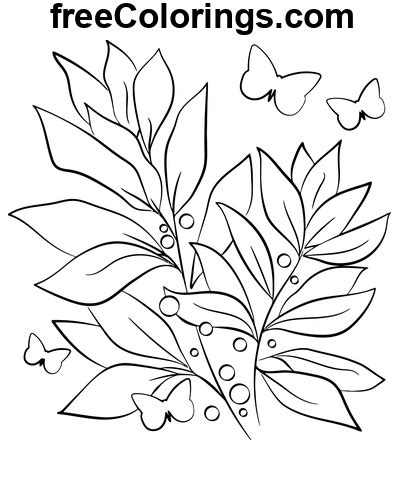 Laurel Flower Drawing – Free Printable Coloring Pages