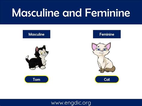 100 Examples Of Masculine And Feminine Gender List Engdic