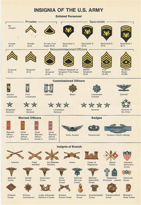 Pin by Walt on Aircraft in 2022 | Military ranks, Army ranks, Military ...