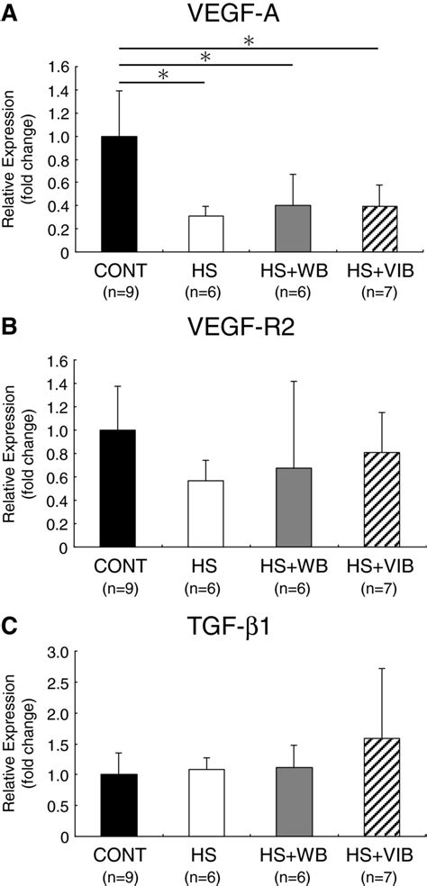 Gene Expression Levels Of Pro Angiogenic Factors Relative Expression