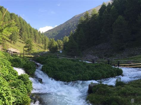 Alla Malga Di Silandro Escursioni Sul Monte Sole A Silandro E Lasa In