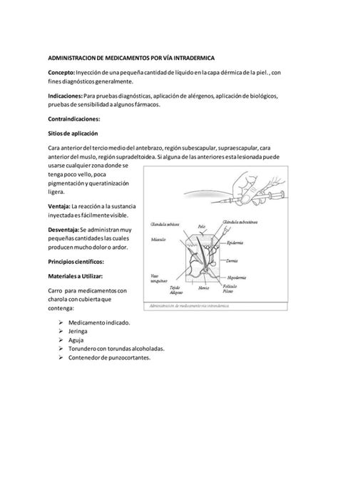 Metabolismo De Los Farmacos PDF