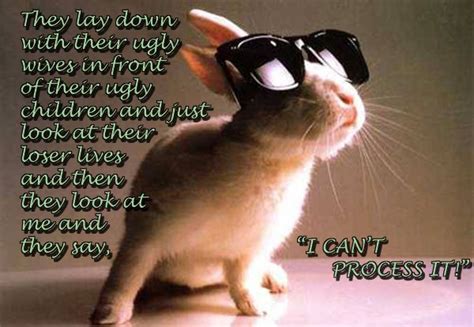 Quotes Funny Cute Rabbit Quotesgram