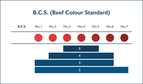 How Japanese Wagyu Beef Is Graded Farm To Table Only In Japan