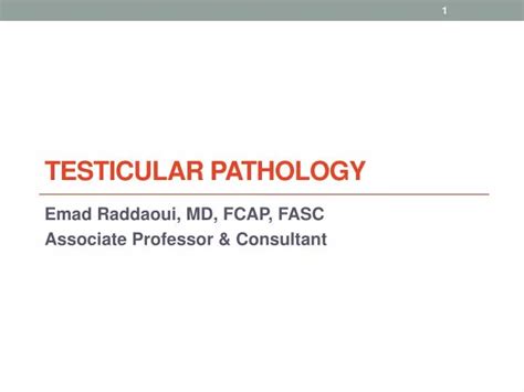 Ppt Testicular Pathology Powerpoint Presentation Free Download Id