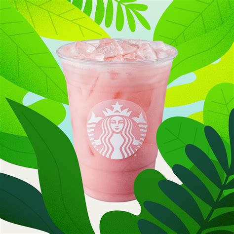 Starbucks Passion Iced Tea Nutritional Info Besto Blog