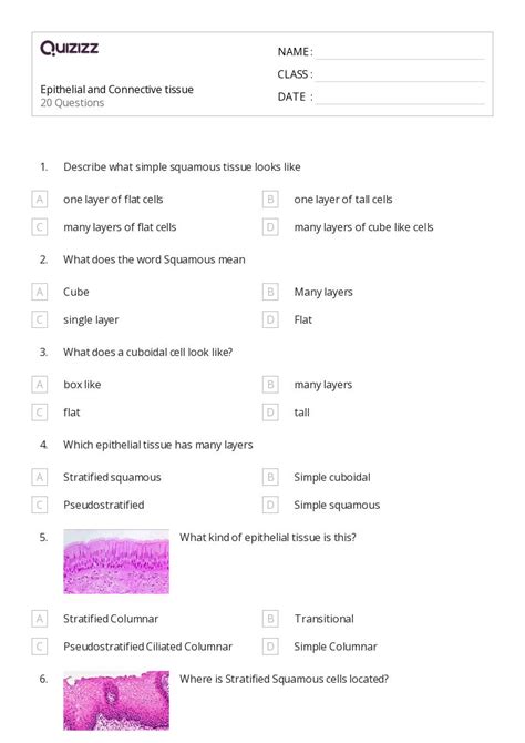 Tissues Worksheets For Th Year On Quizizz Free Printable