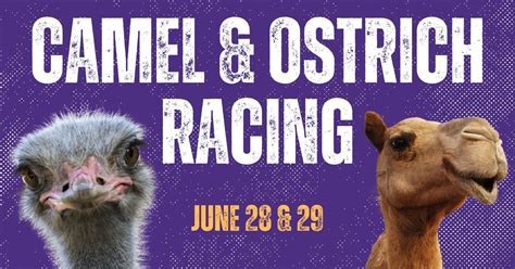 Camel and Ostrich Racing at Retama Park, 1 Retama Pkwy, Selma, TX ...