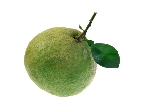 Pomelo Fruit Isolated On White Background Stock Image Image Of Ripe