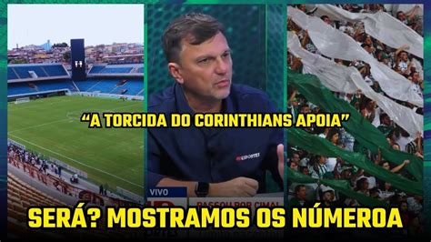 MAURO CEZAR DISPARA CONTRA TORCIDA DO PALMEIRAS MAS É DESMENTIDO YouTube