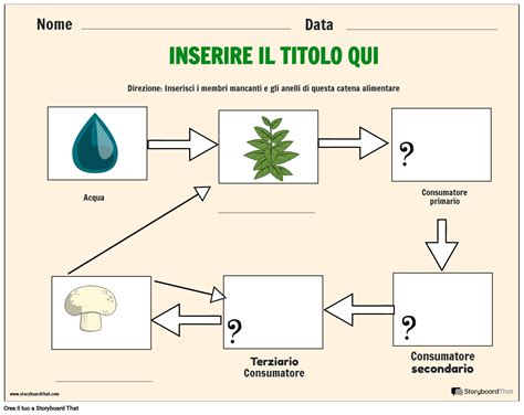 Foglio Di Lavoro Sullecosistema Della Catena Alimentare