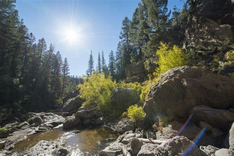 The Jemez Mountains – The Lobo Life