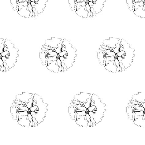 Tree Top View Sketch