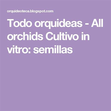 Todo Orquideas All Orchids Cultivo In Vitro Semillas Orquideas